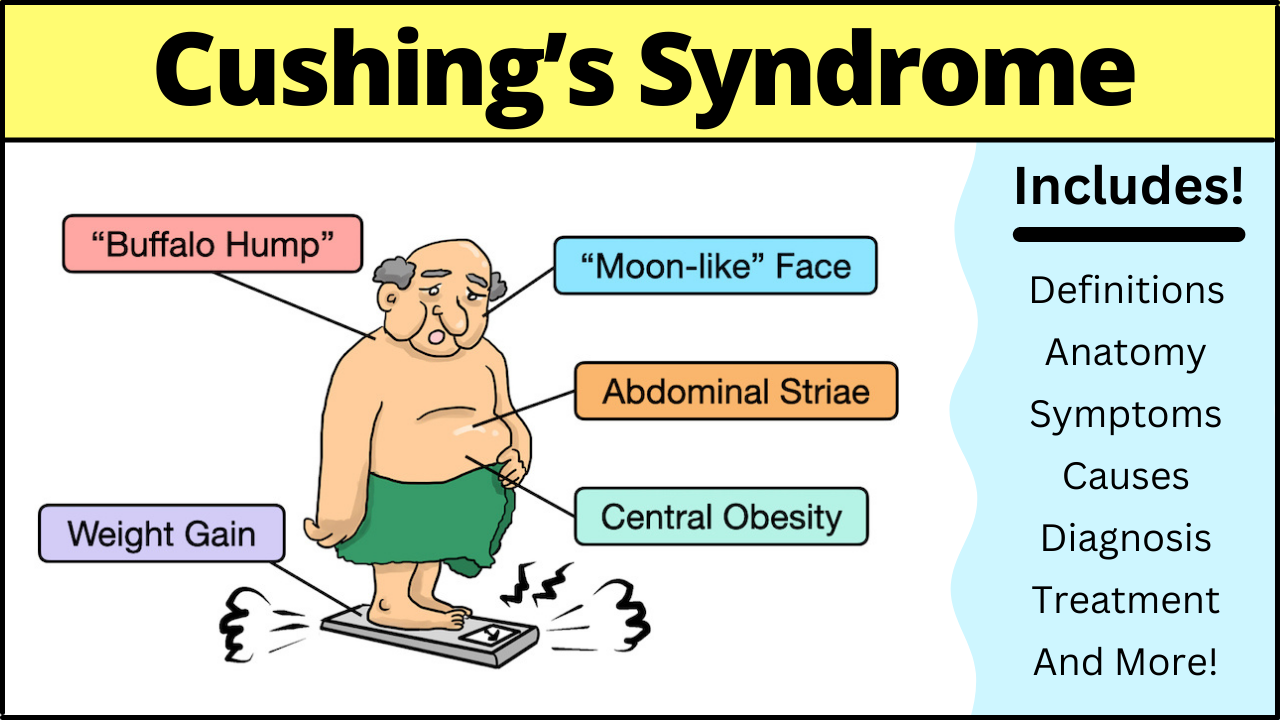 Cushing's syndrome symptoms treatment causes disease cortisol levels adrenal gland