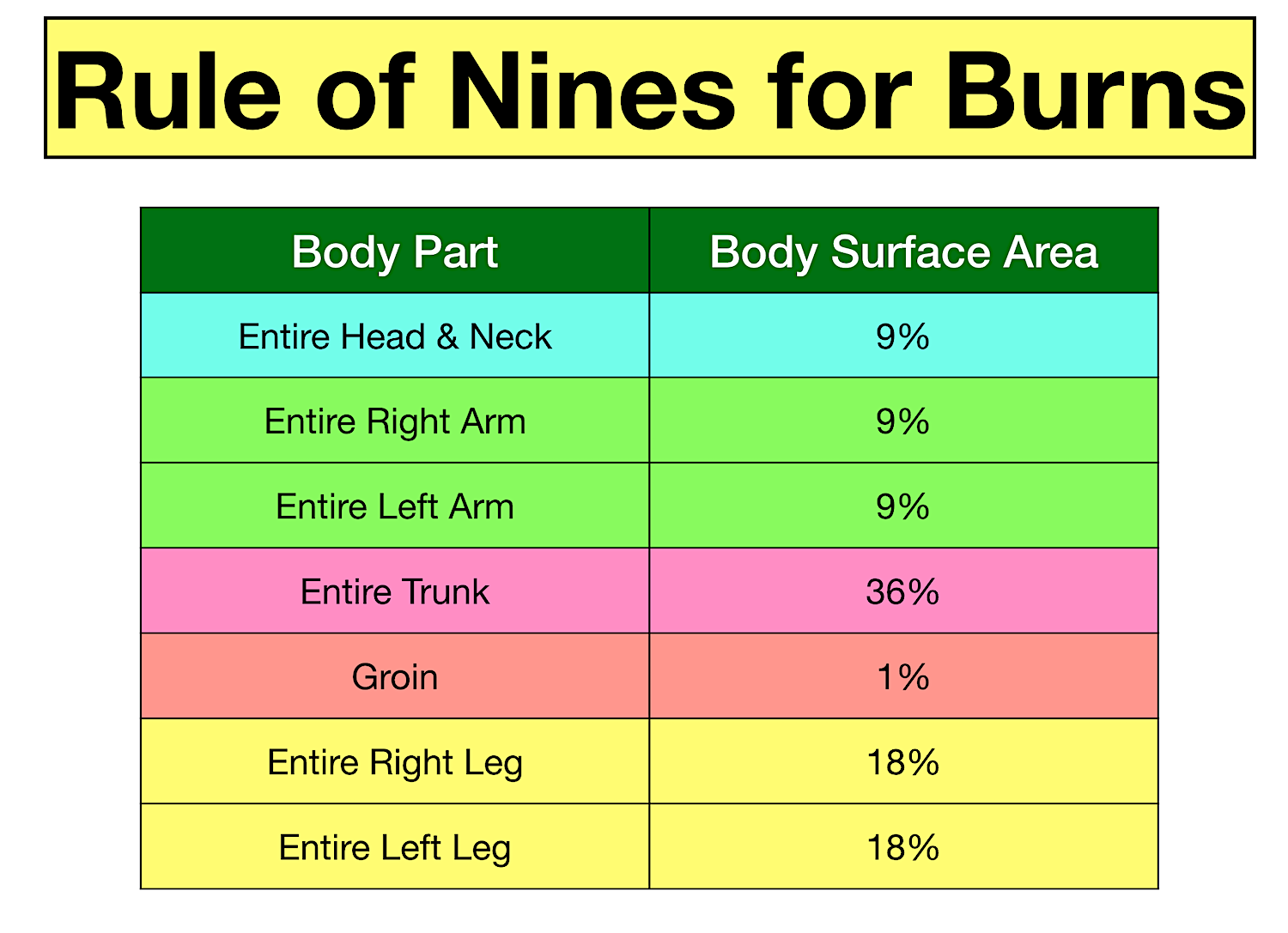 rule of nines chart for burns and body surface area