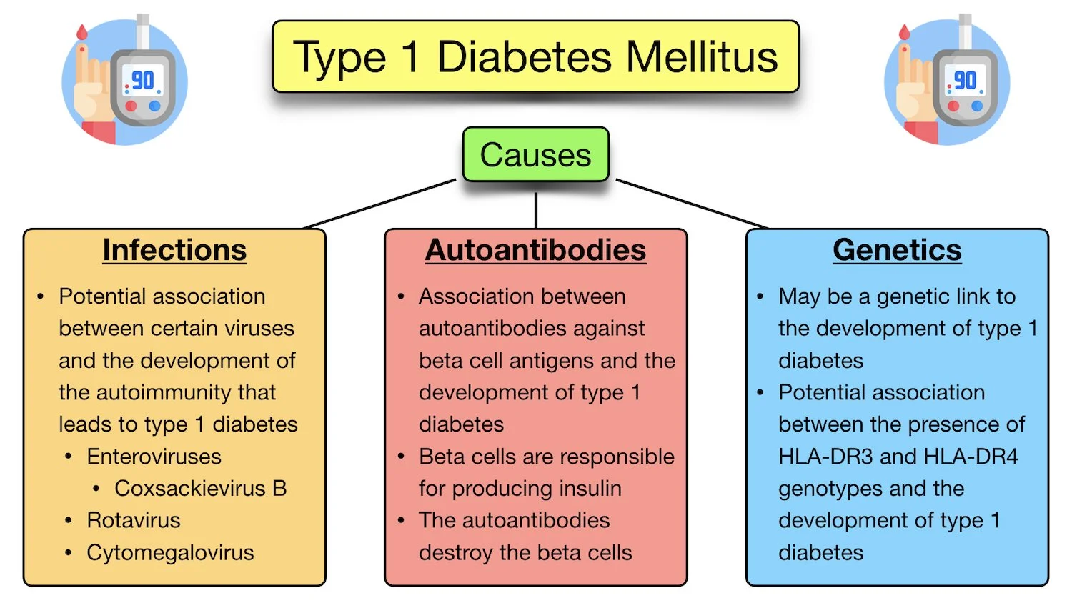 type 1 diabetes mellitus causes pathophysiology genetics autoantibodies infection