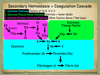 Secondary Hemostasis Definition and Coagulation Cascade Pathway Steps ...