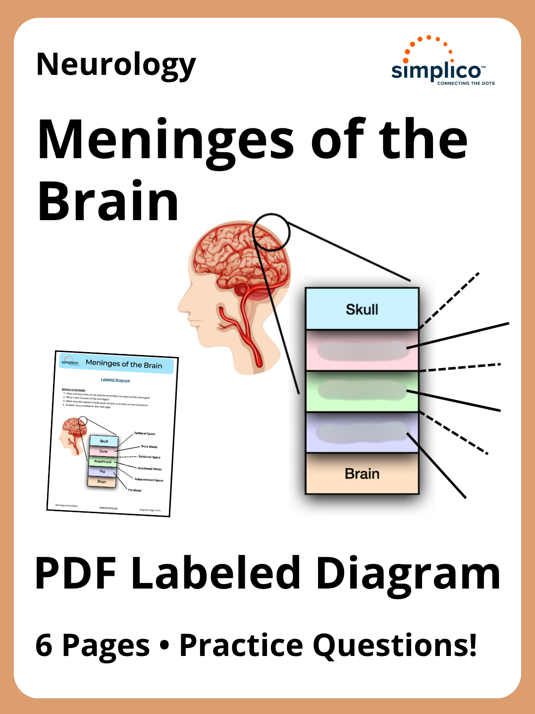 brain meninges labeled diagram layers spaces anatomy