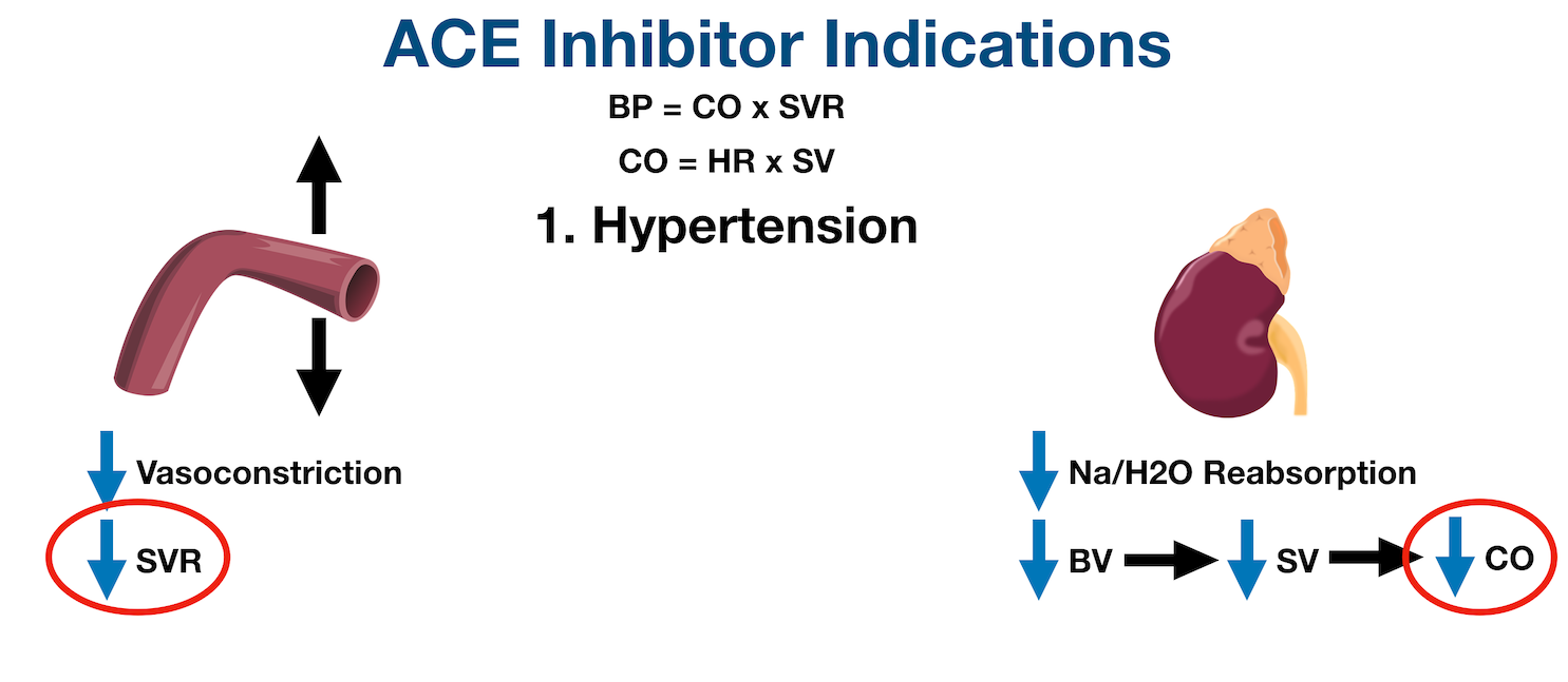 ACE inhibitors can be used to treat hypertension as they decrease systemic vascular resistance (SVR) and cardiac output (CO).