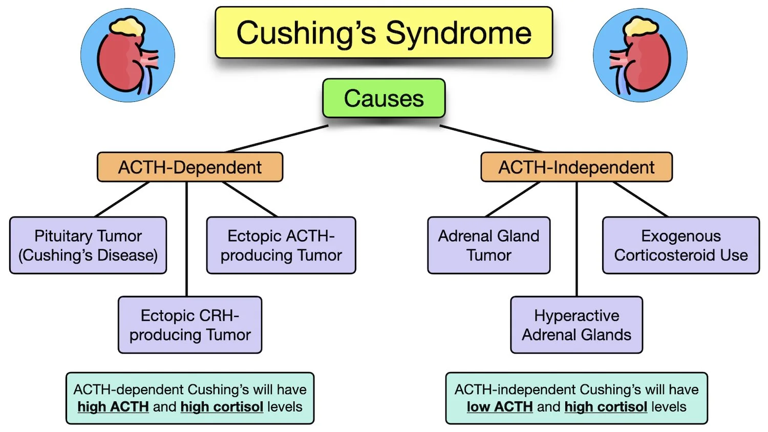 Cushing's syndrome causes types acth dependent independent pituitary tumor adrenal gland