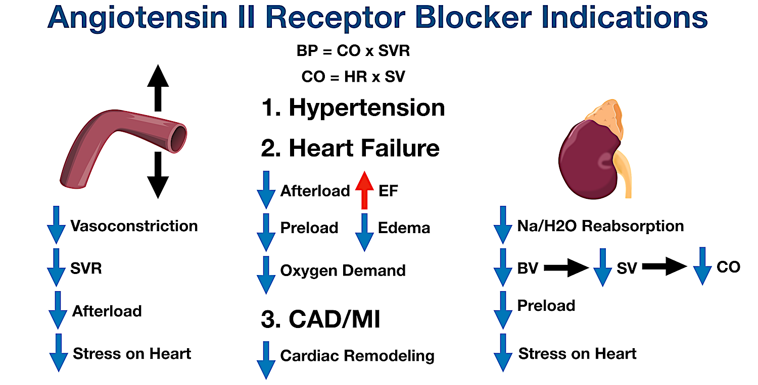 ARBs can decrease the cardiac remodeling that can occur from chronic hypertension, heart failure, coronary artery disease (CAD), or a recent myocardial infarction (MI).