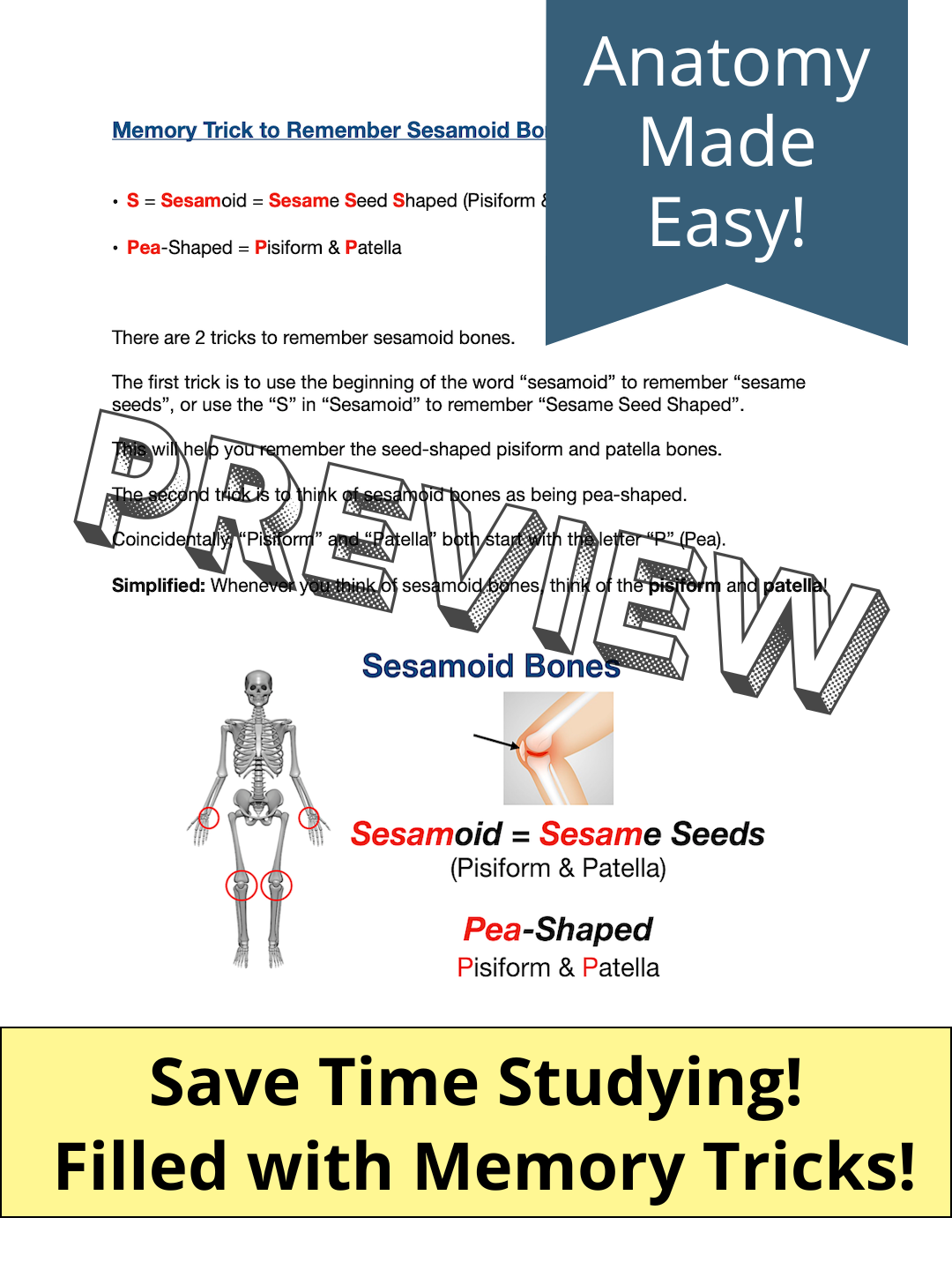 types of bones in human body skeletal system examples