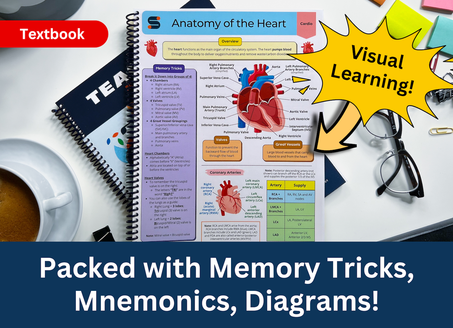 nursing medical student book study notes