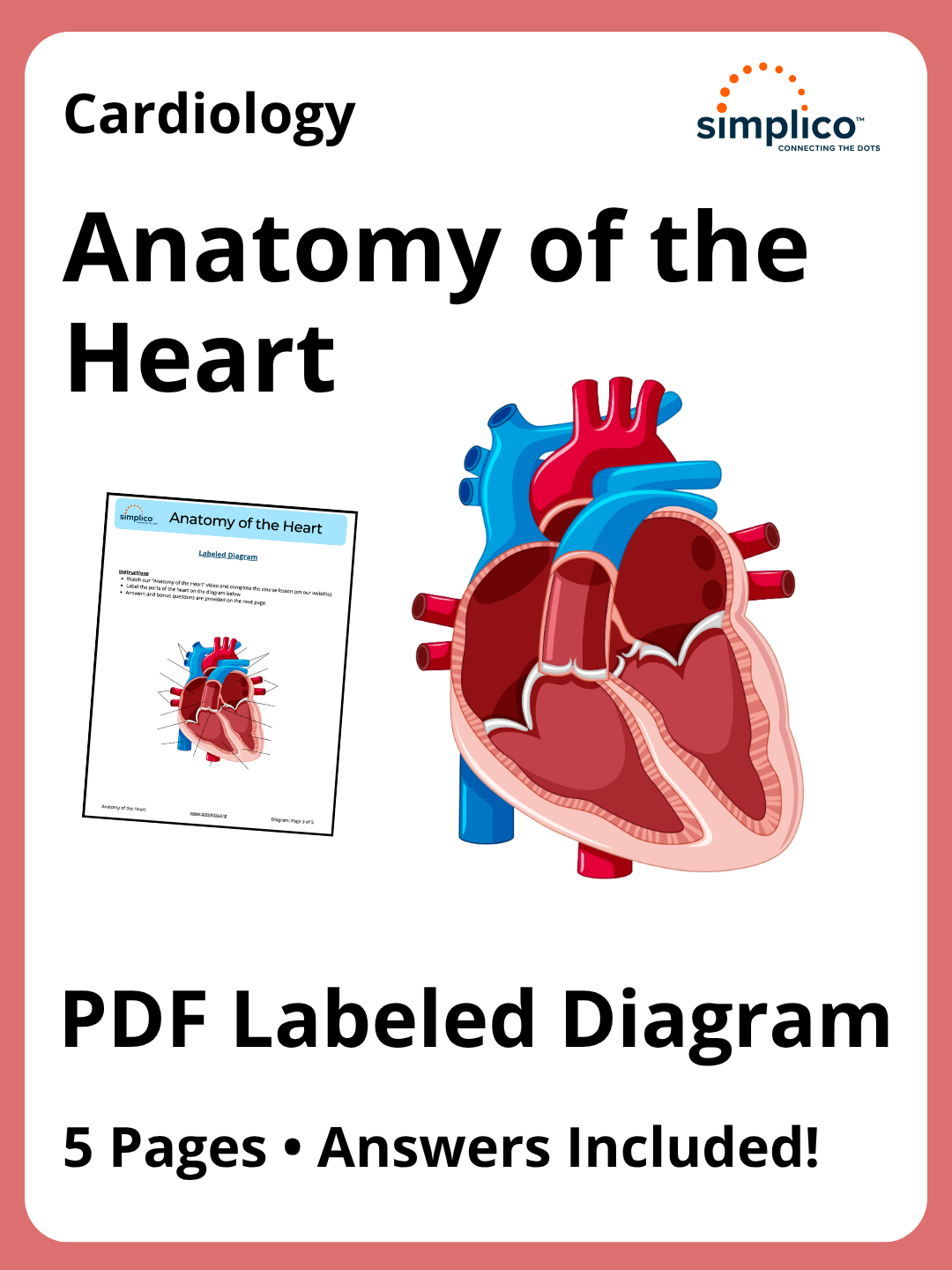 Anatomy of the Heart | PDF Labeled Diagram