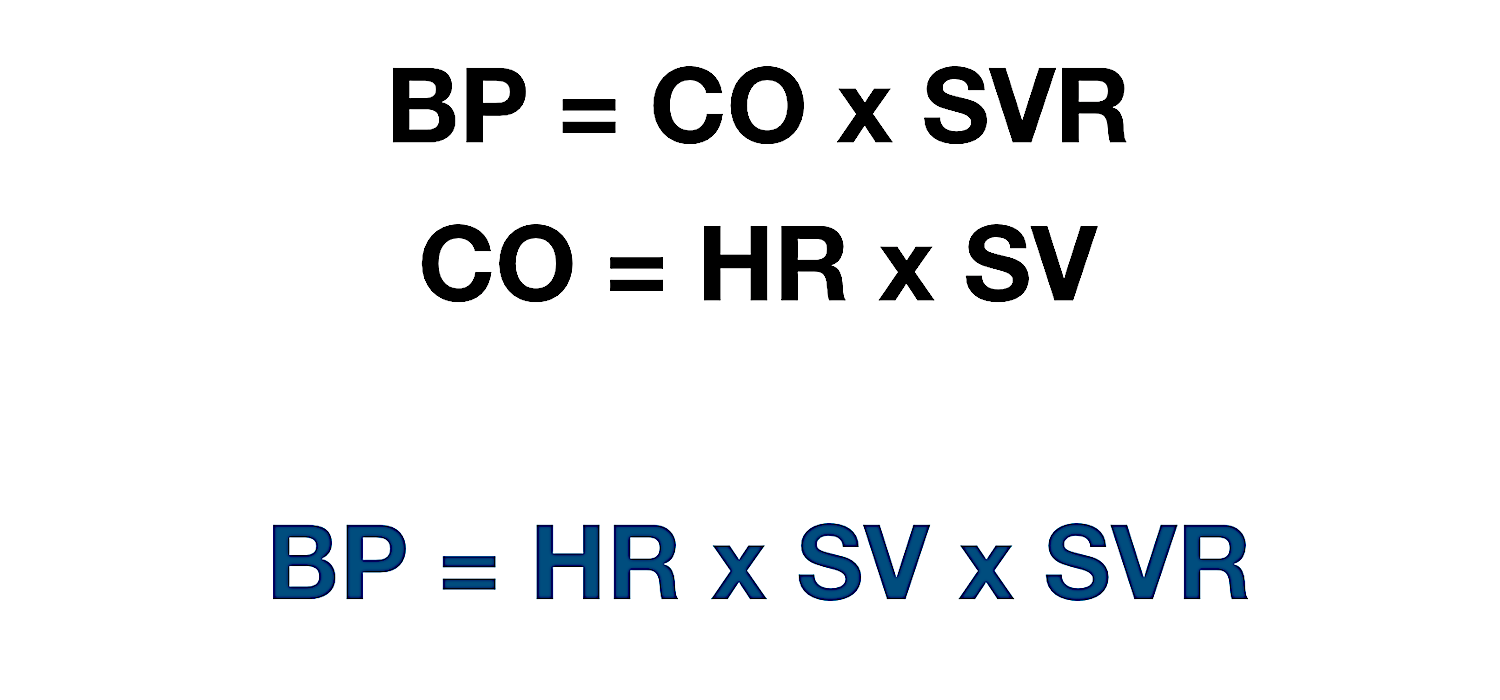 BP = Blood Pressure; CO = Cardiac Output; SVR = Systemic Vascular Resistance; HR = Heart Rate; SV = Stroke Volume