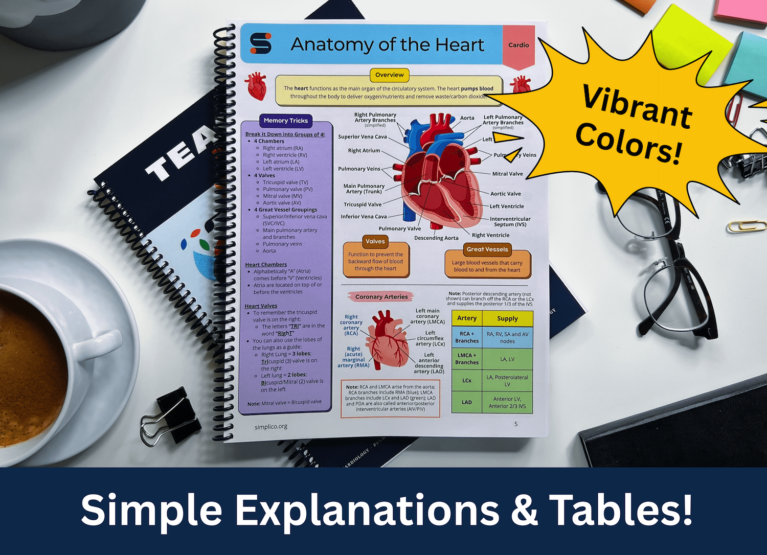 nursing medical student book study notes