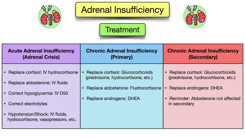 Adrenal Insufficiency: Symptoms, Causes, Treatment, Diagnosis, Labs ...