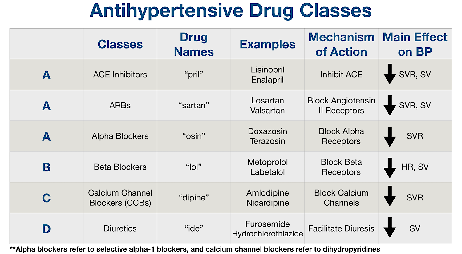 Antihypertensive Drug Chart: Review of the main antihypertensive medications including ACE inhibitors, angiotensin II receptor blockers (ARBs), alpha blockers, beta blockers, calcium channel blockers, and diuretics.