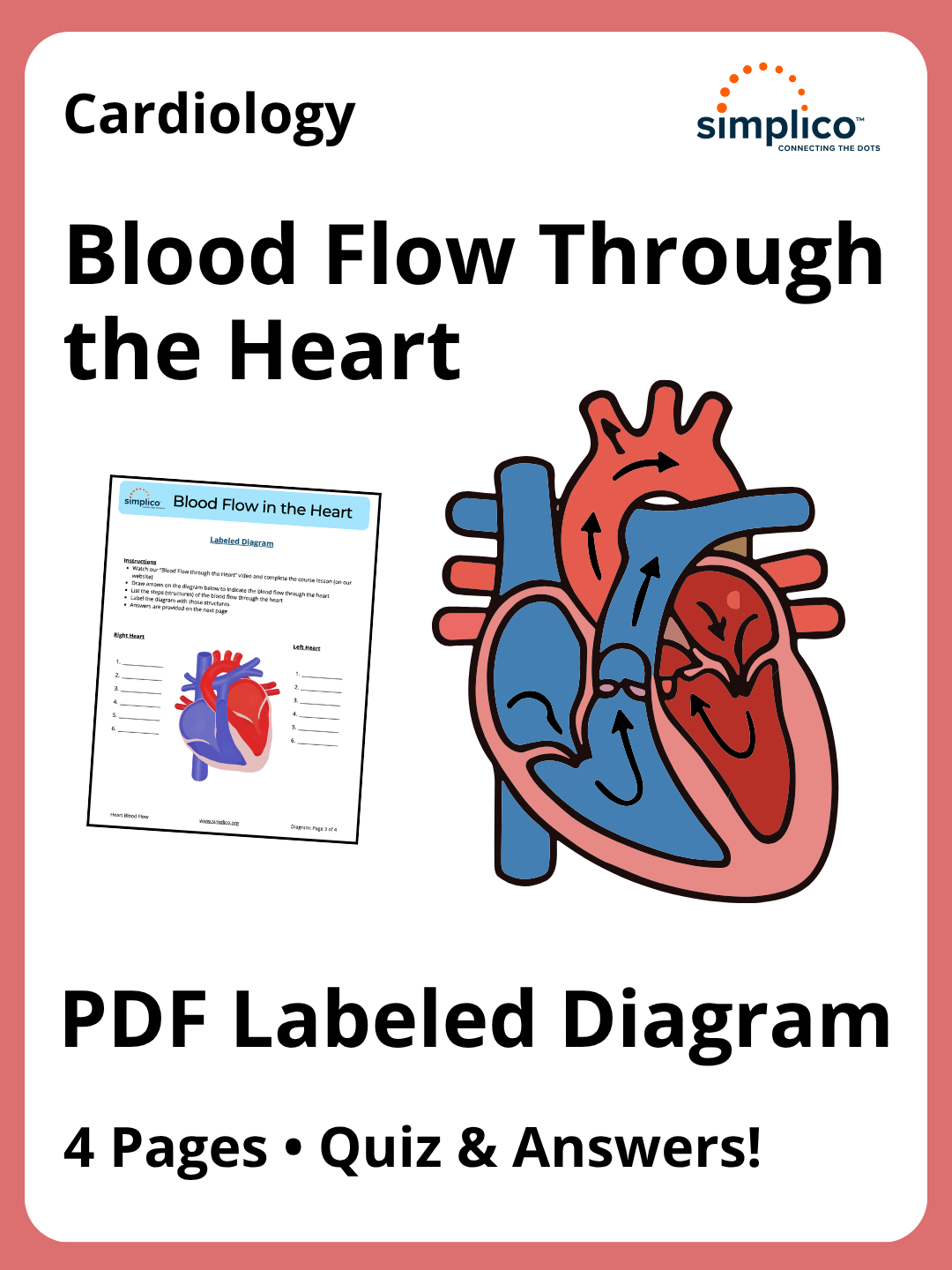 Heart Blood Flow | PDF Labeled Diagram