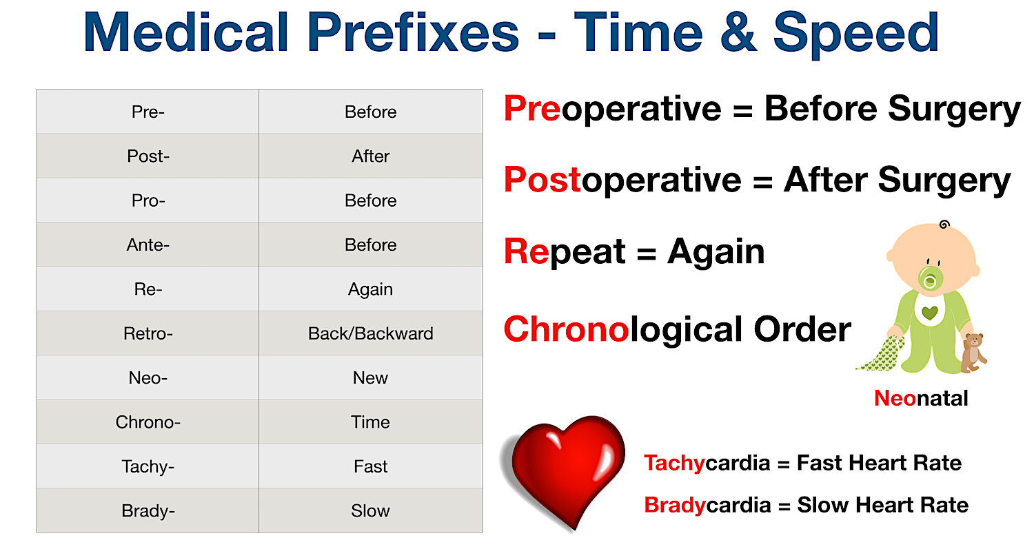 Medical Terminology: List of common prefixes for time and speed