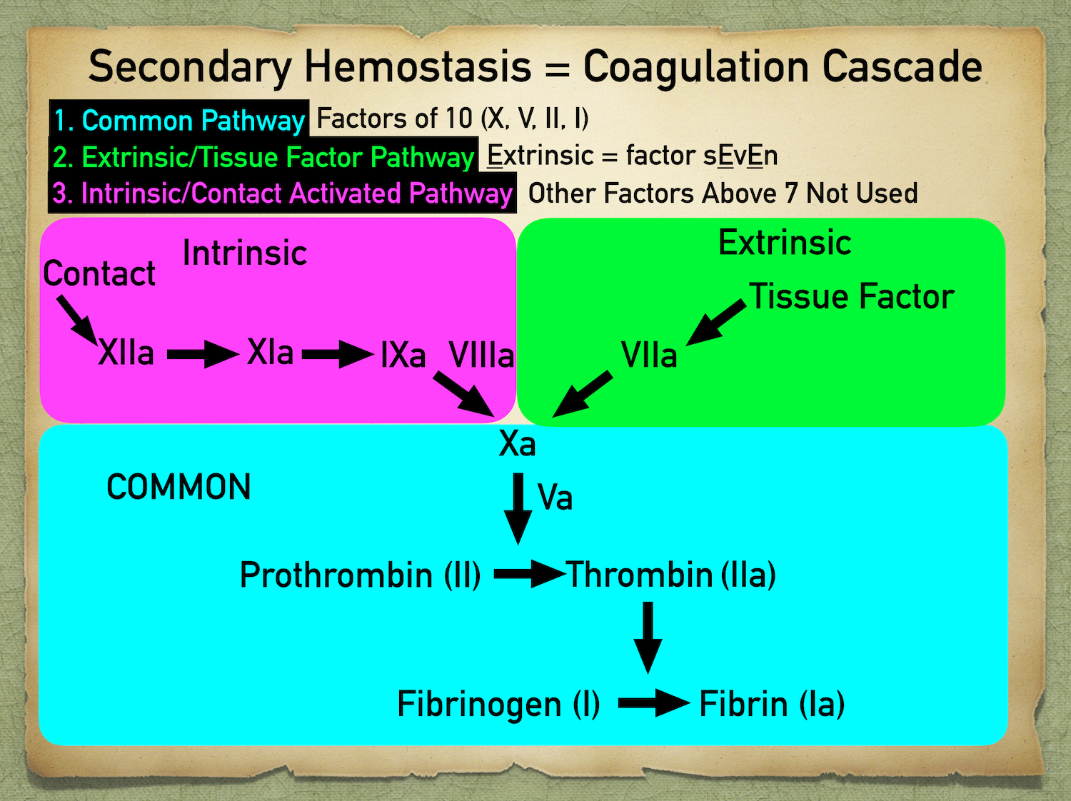 The above is a much more simplified version of the above diagram. Just remember that each activated factor is activating the next, and that is not turning into a different factor.