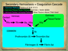 Secondary Hemostasis Definition and Coagulation Cascade Pathway Steps ...