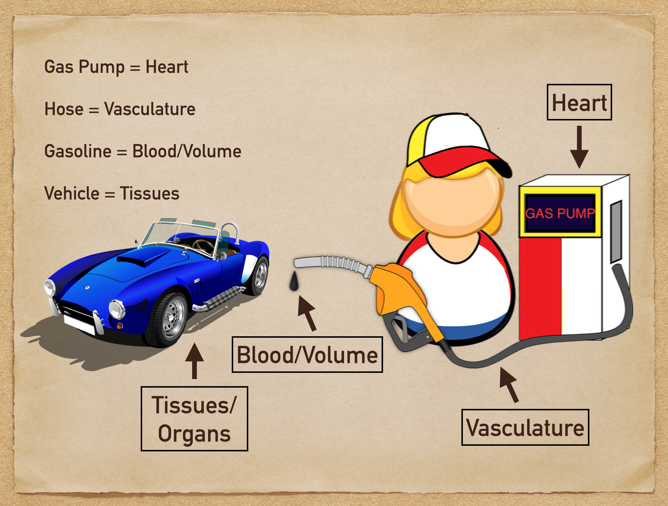 types of shock