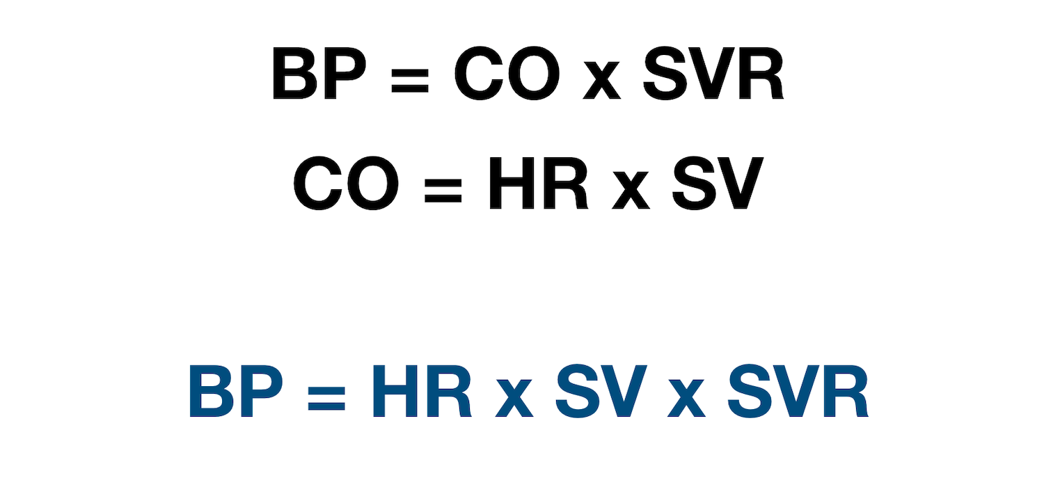 BP = Blood Pressure; CO = Cardiac Output; SVR = Systemic Vascular Resistance; HR = Heart Rate; SV = Stroke Volume