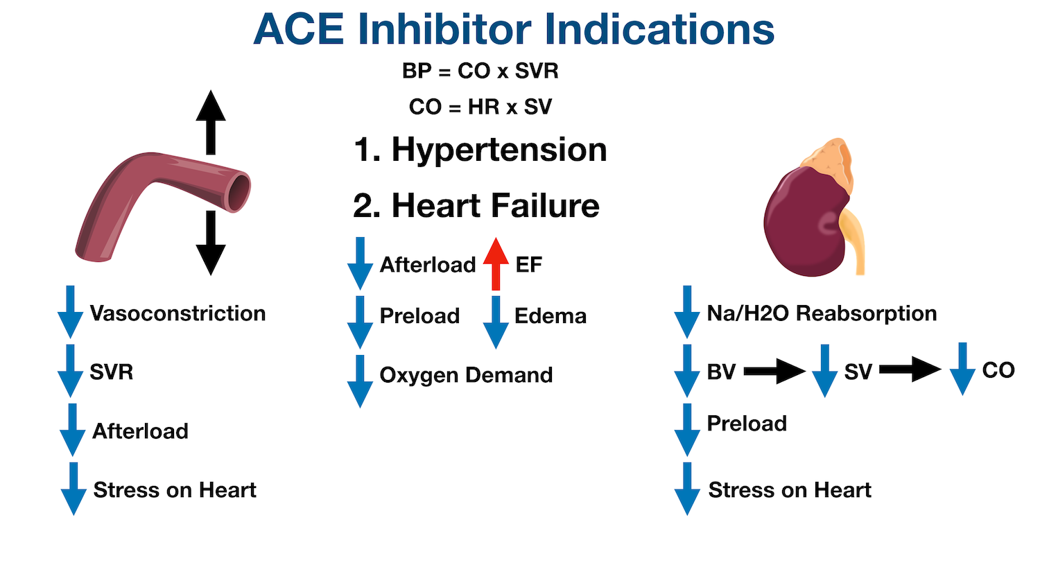 ACE inhibitors can be used in heart failure as they decrease afterload, preload, and overall oxygen demand/stress on the heart. Reducing afterload can improve the ejection fraction (EF) of the heart, and reducing preload can decrease edema.