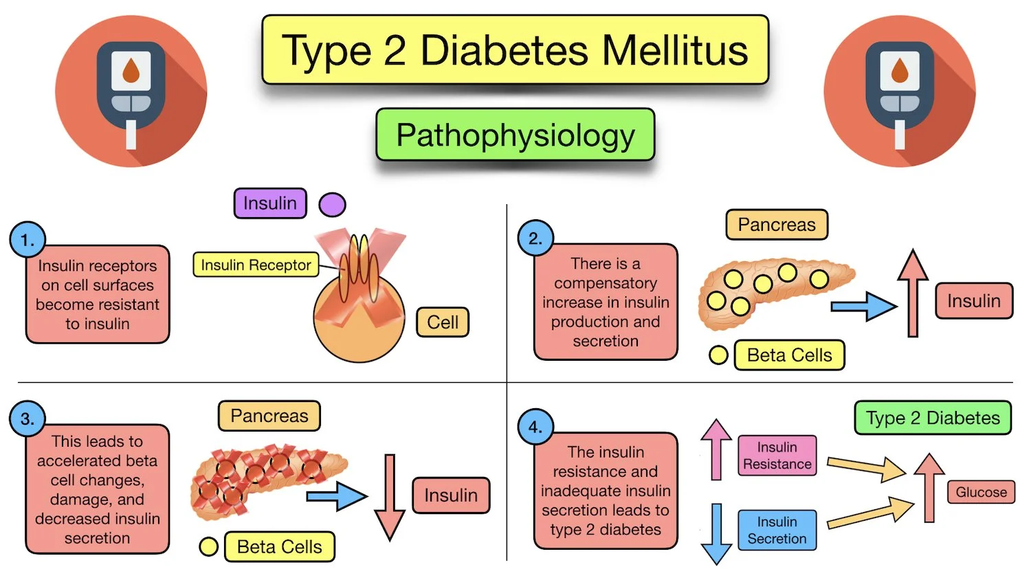 type 2 diabetes mellitus pathophysiology cause nursing insulin resistance glucose hyperglycemia