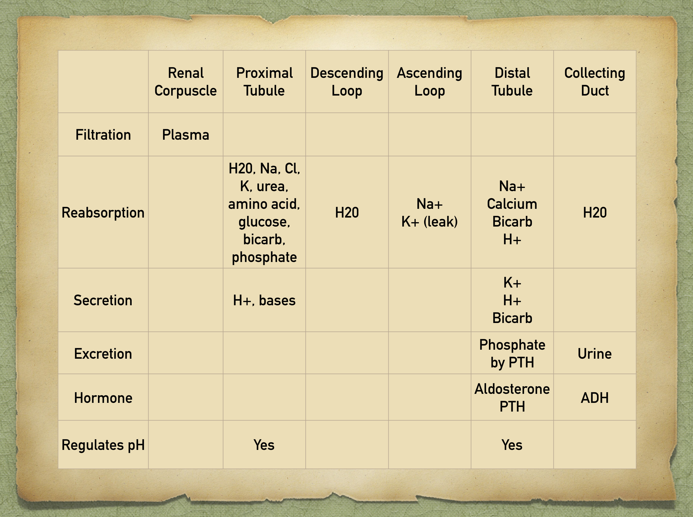 PTH = Parathyroid Hormone