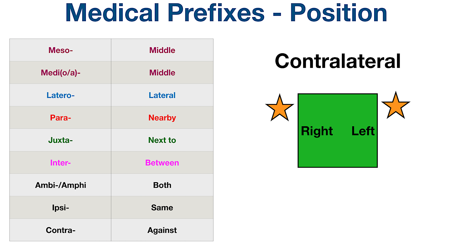 Medical Terminology: Contralateral - Relating to the side of the body opposite to that of which a condition occurs or structure is located