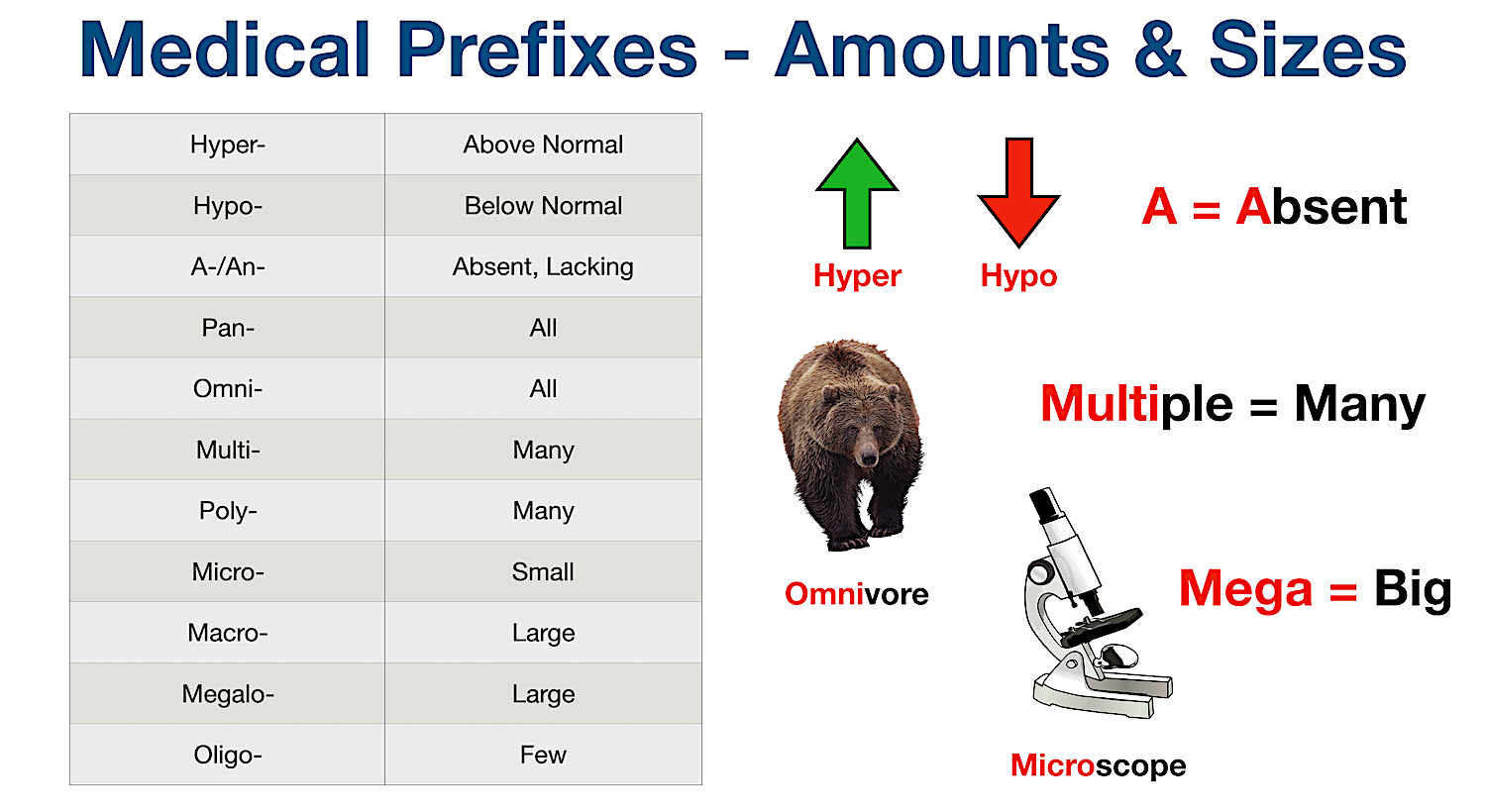 Medical Terminology: List of common prefixes for amounts and sizes