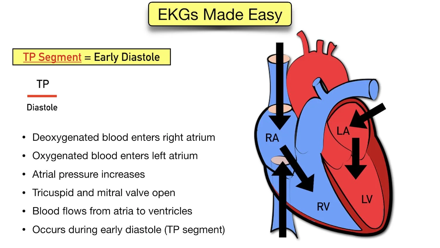 ecg waveform explained labeled components diagram tp segment diastole ekg