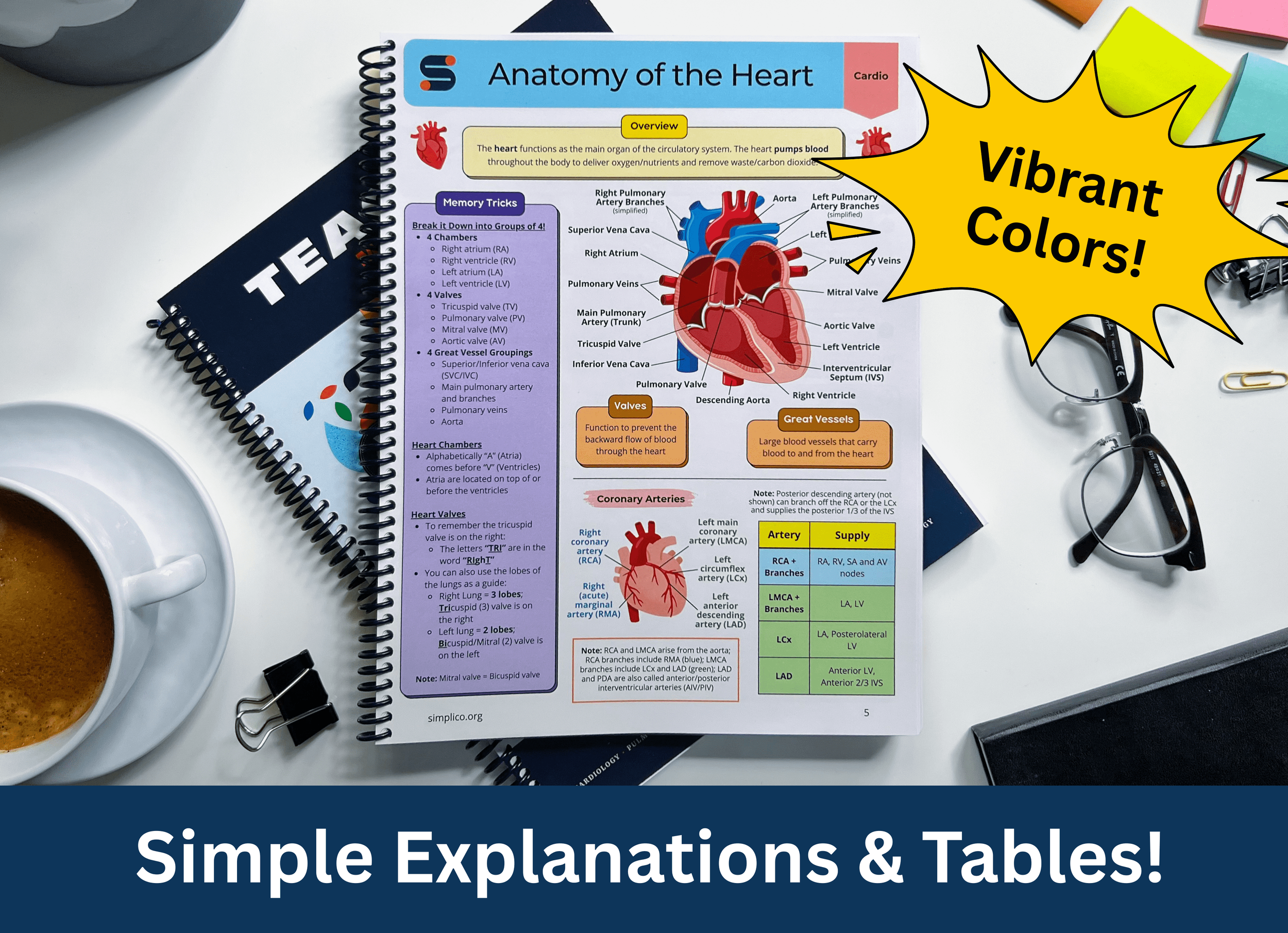 nursing medical student book study notes