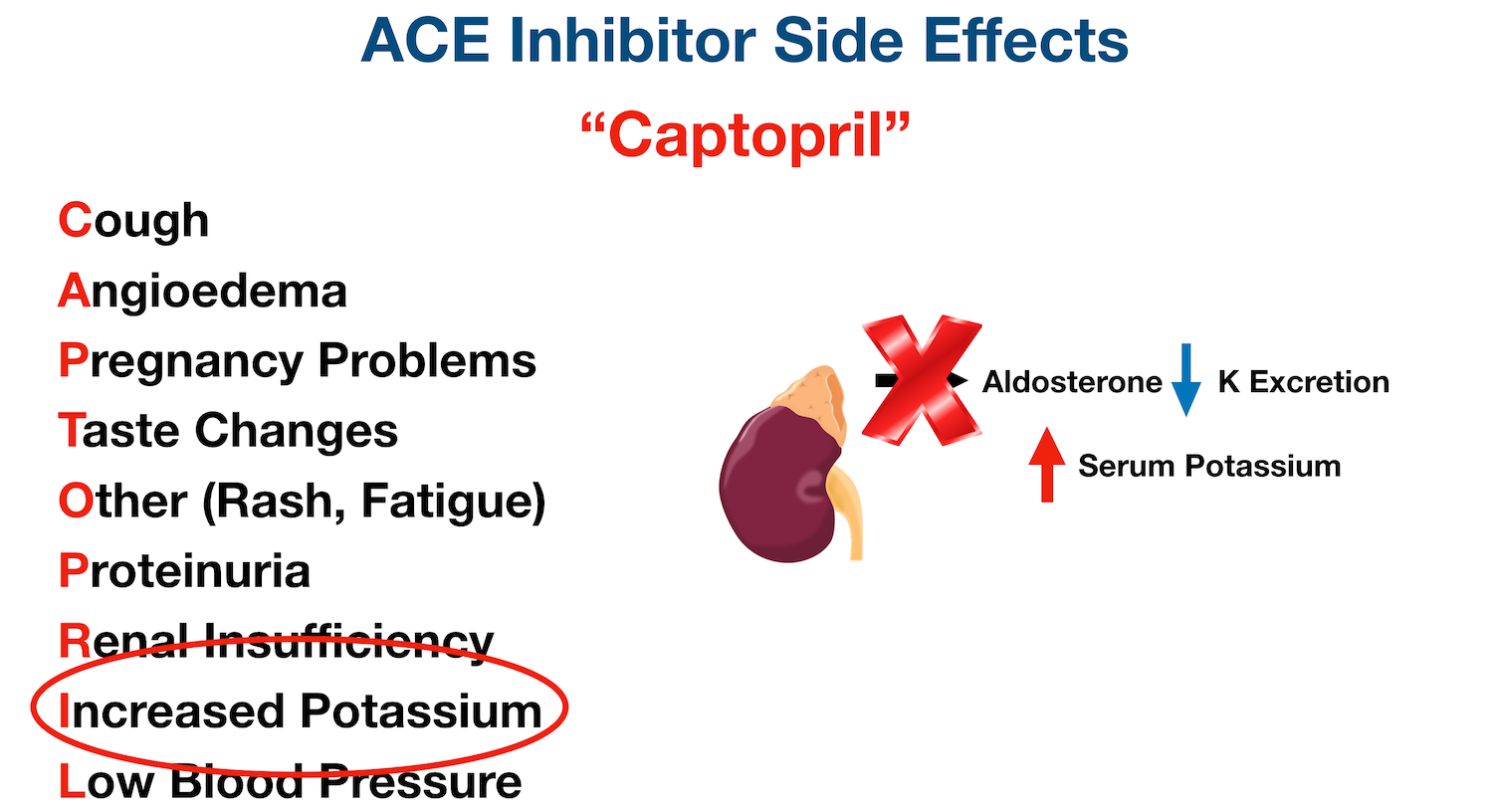 Aldosterone increases potassium excretion in the urine. ACE inhibitors decrease aldosterone release (red “x”) which will result in decreased potassium excretion in the urine and increased potassium levels in the blood (hyperkalemia).