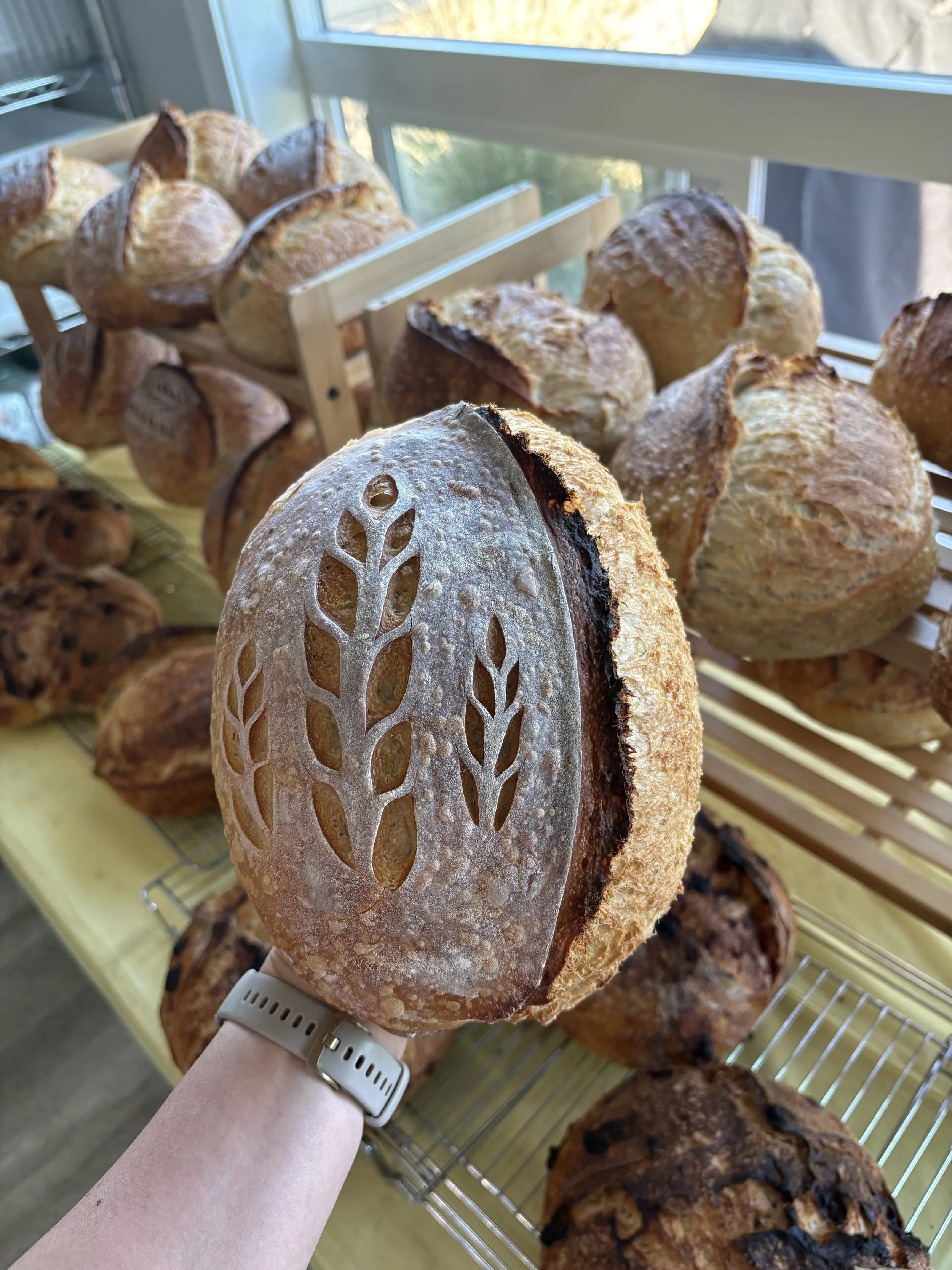 Sourdough Loaf