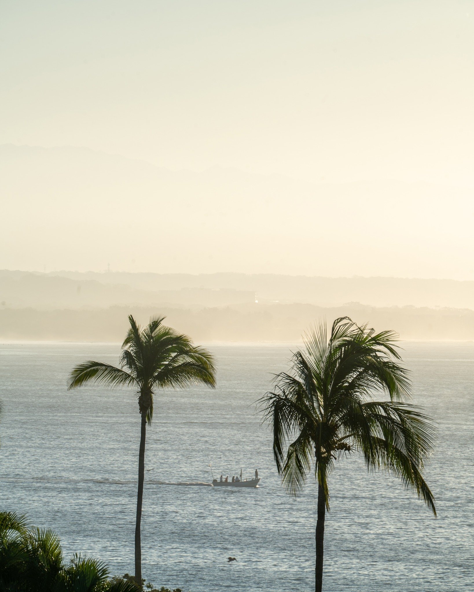 Imagine mornings where whales breach outside your bedroom window. Where pristine sand is just steps from your door, and the rhythm of waves sets the pace of your day. Life at Punta Mita isn't rushed&mdash;it's peaceful, intentional, and connected to 