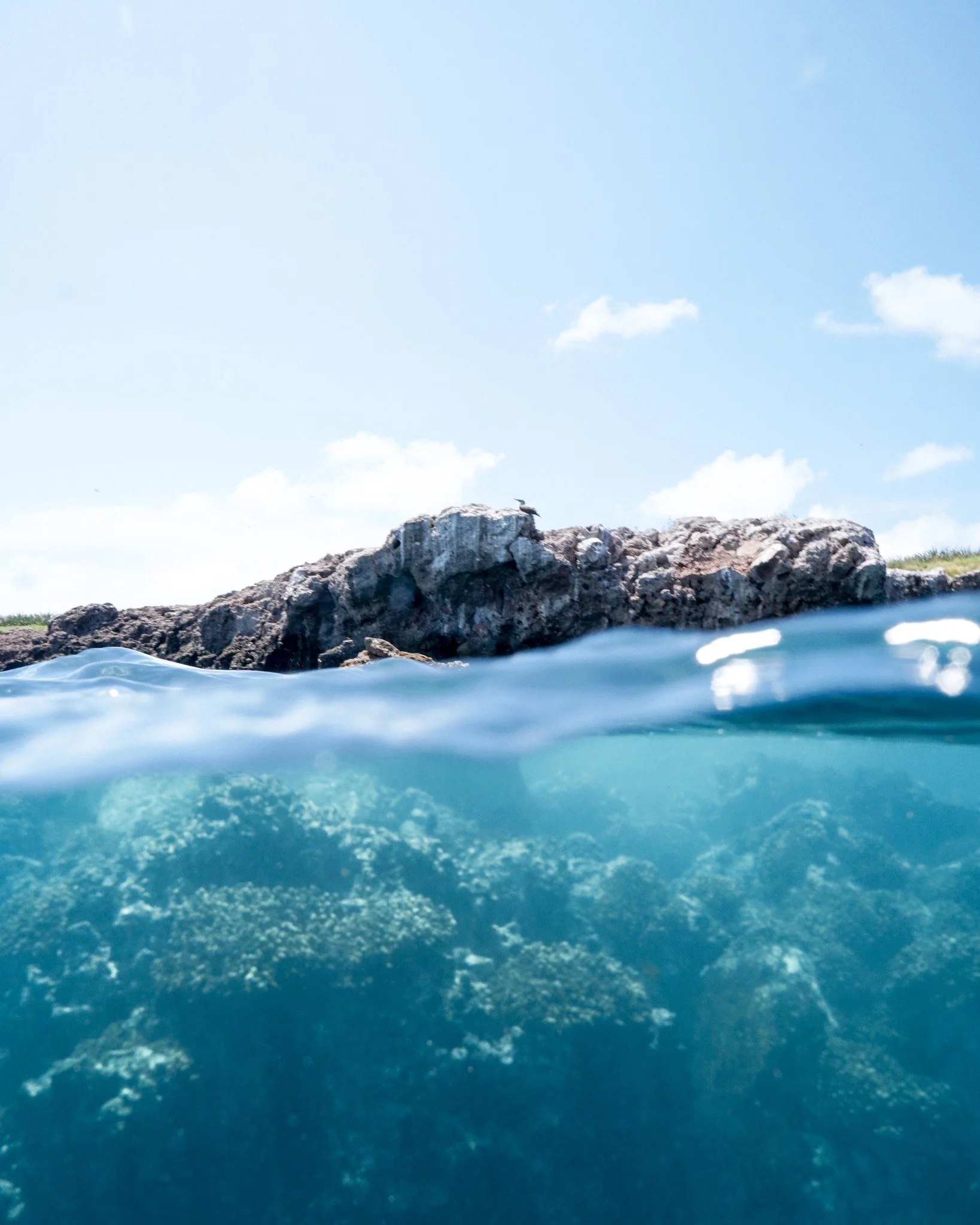 Some places have to be earned. Islas Marietas &mdash; a Mexican National Park made up of three untouched islands and a legendary hidden beach &mdash; is only reachable by boat. Sail from Punta Mita in 30 minutes aboard a private yacht and step into o