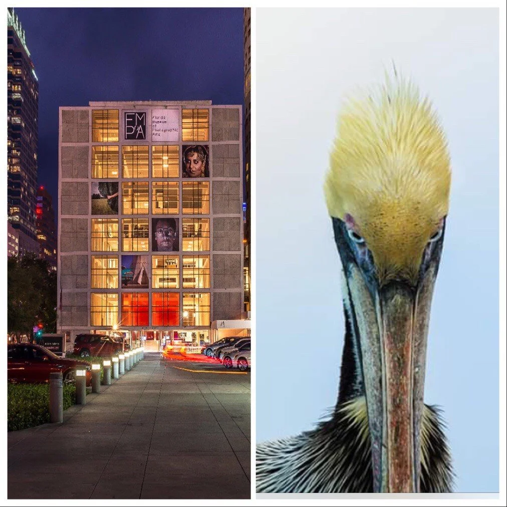 9A623A17-EEFB-4F7D-9B48-A7A1366CA9B8 (1).jpeg