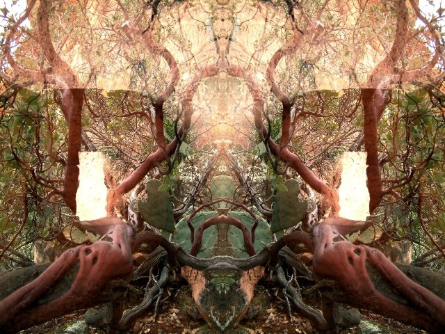 Sample images of The Bressani Oracle card deck 