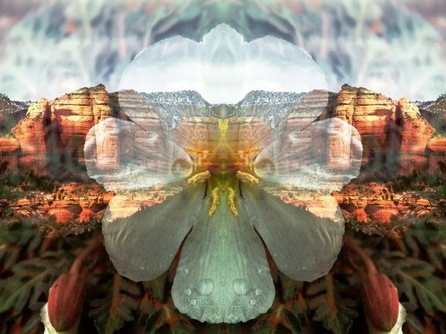 Sample images of The Bressani Oracle card deck 