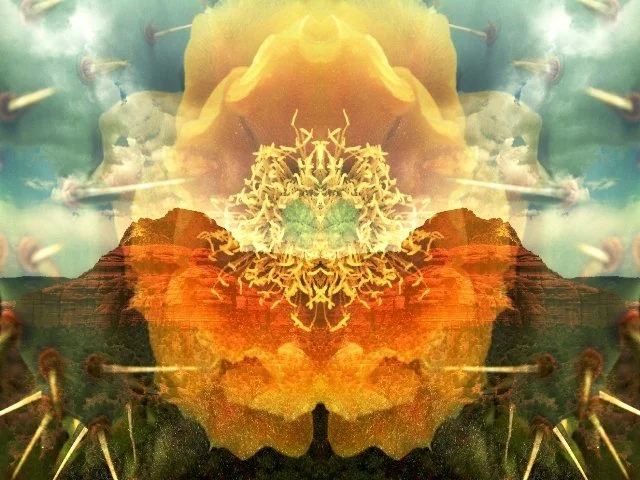 Sample images of The Bressani Oracle card deck 