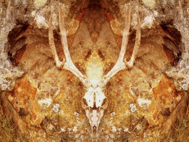 Sample images of The Bressani Oracle card deck 