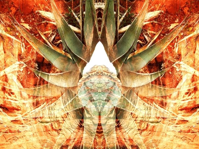 Sample images of The Bressani Oracle card deck 