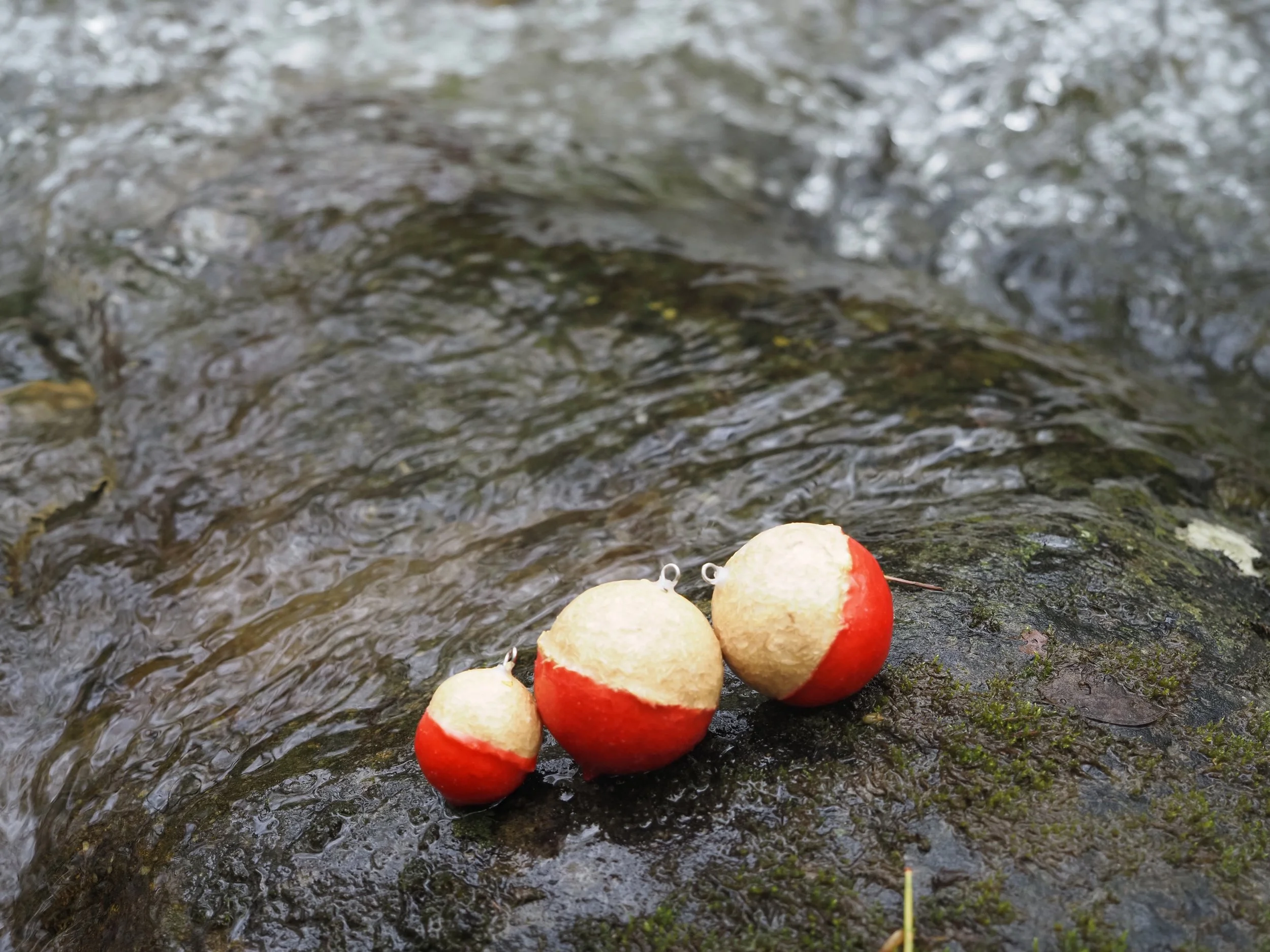 MycoBobbers by water 1.jpeg