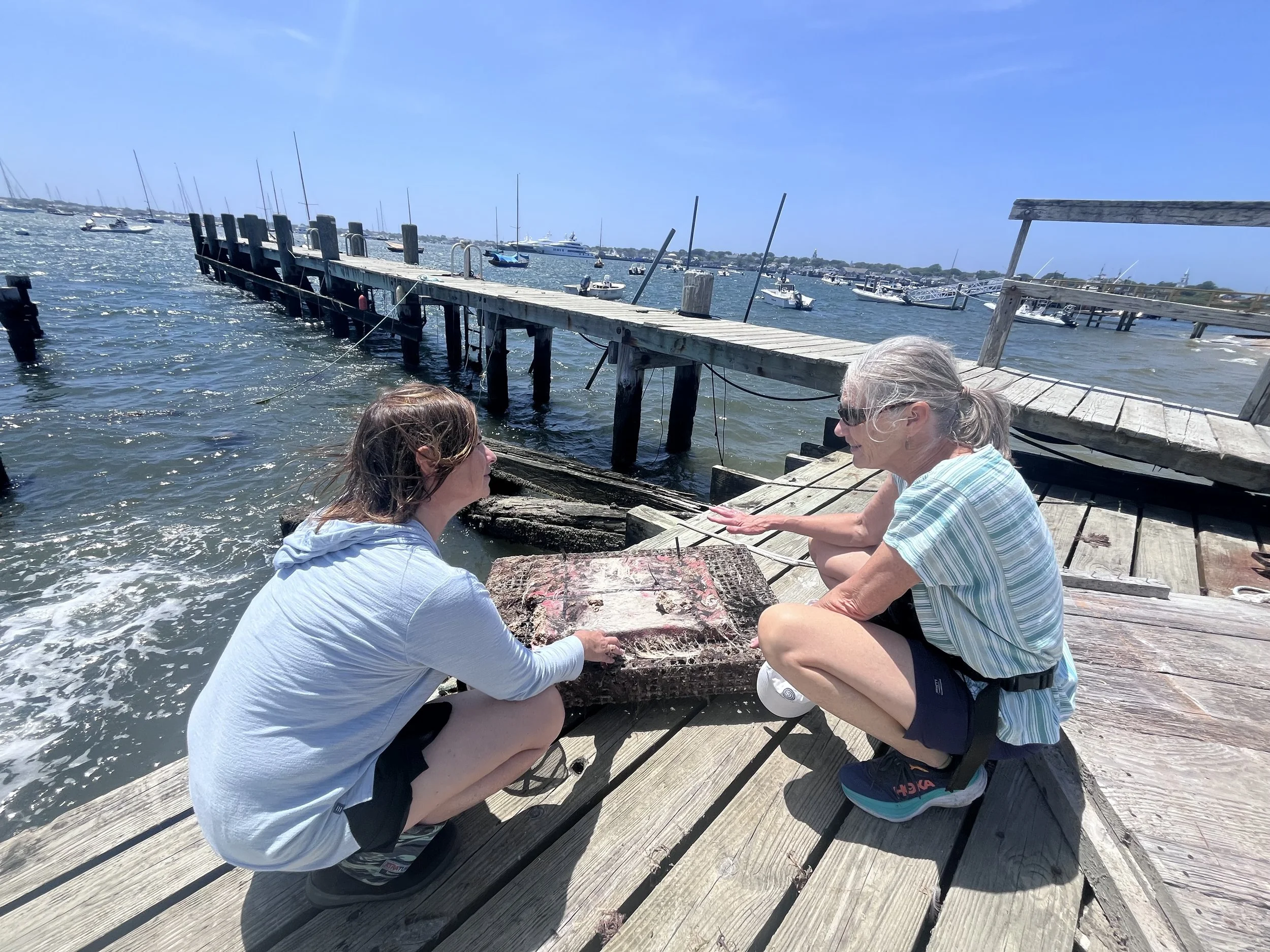 Assessing performance at Brant Hatchery.jpeg