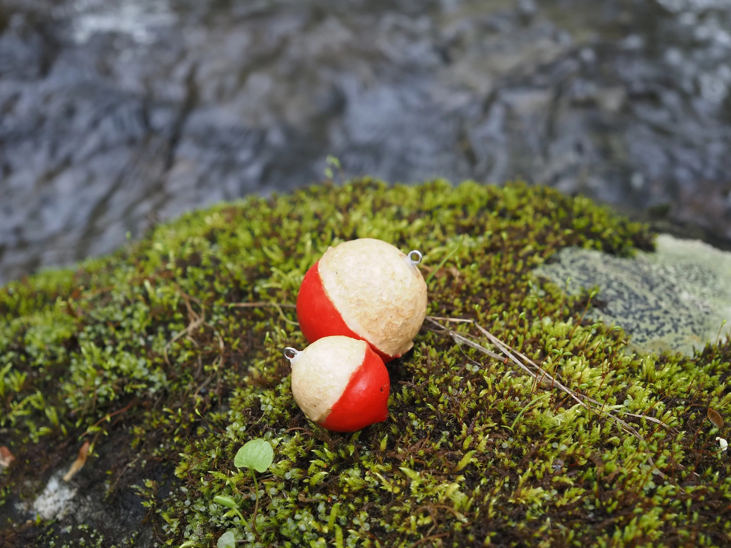 MycoBobbers on water 2.jpeg