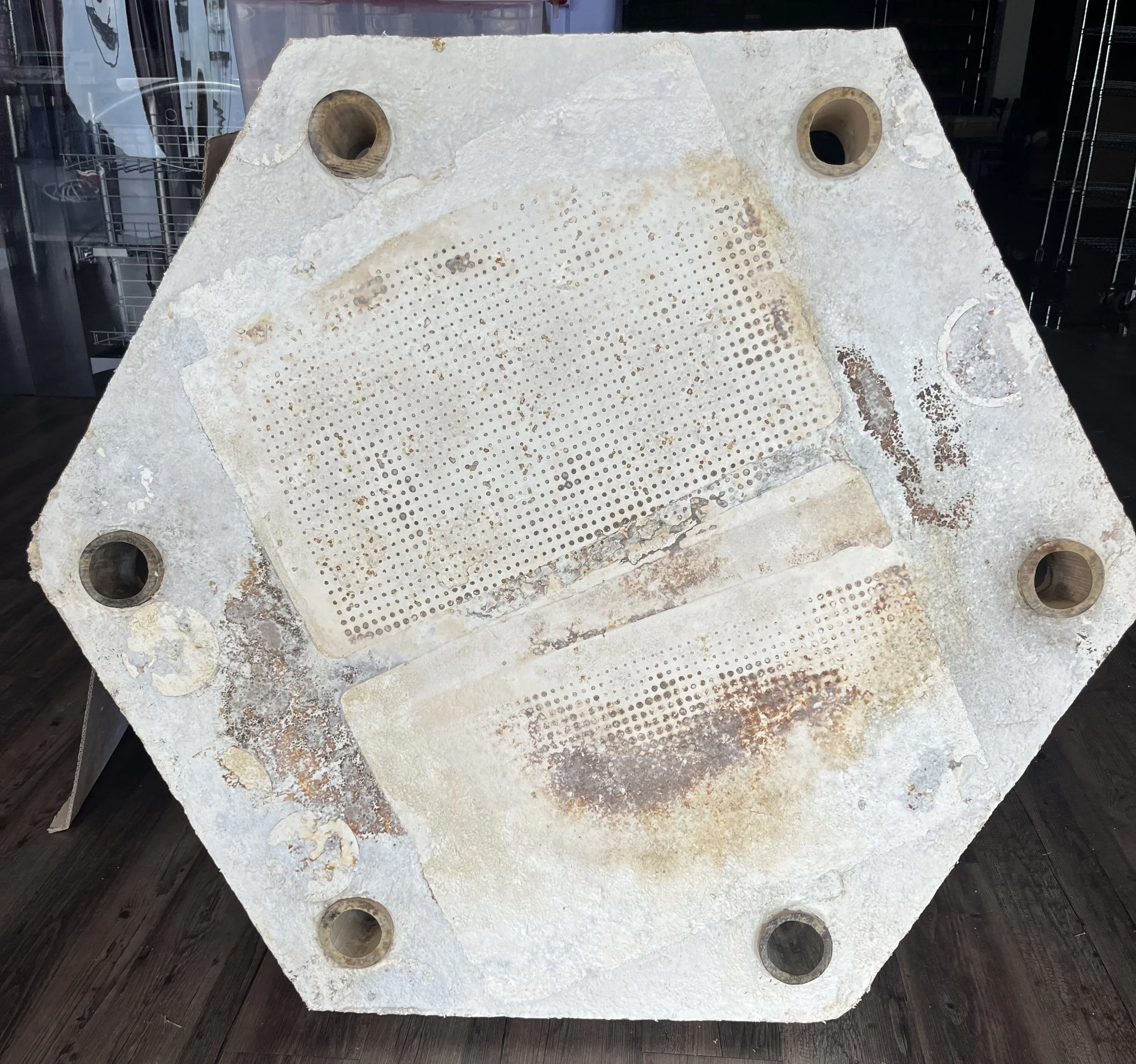 6 hole MycoRaft.jpeg