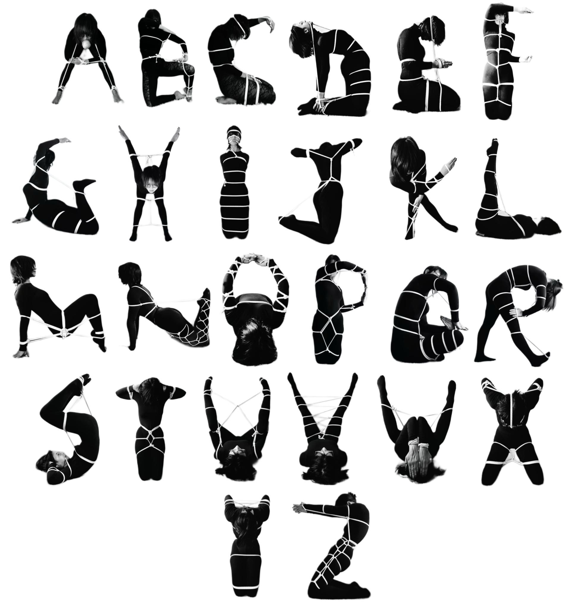 ABC's Of Shibari