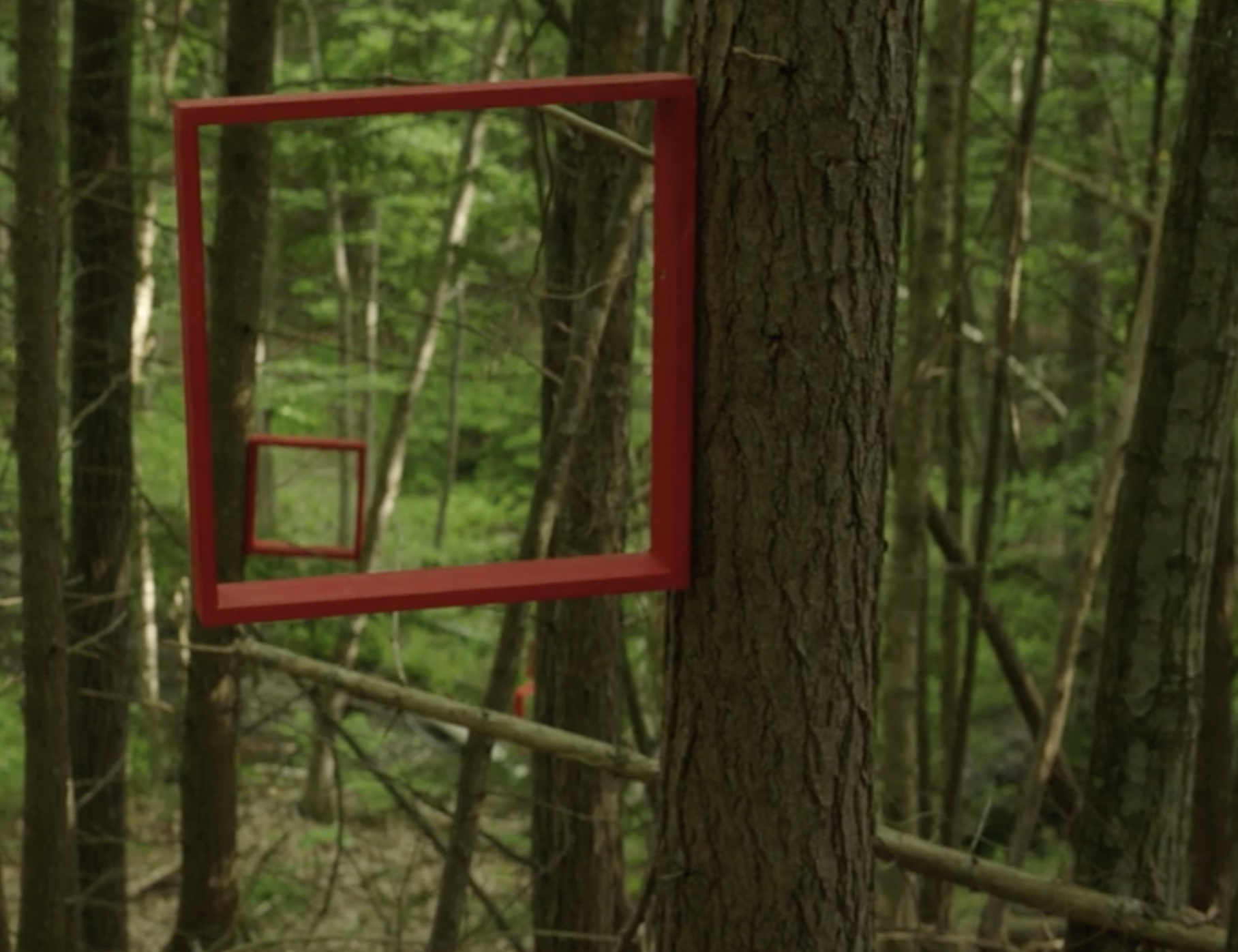 Red rectangular frames attached to trees in a forest, creating a visual illusion of diminishing perspective.