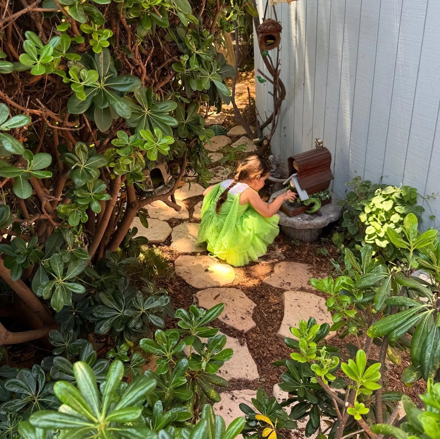 Little moments filled with magic and wonder and butterflies. Lots of butterflies. 🦋  #lagunabeachfairygarden