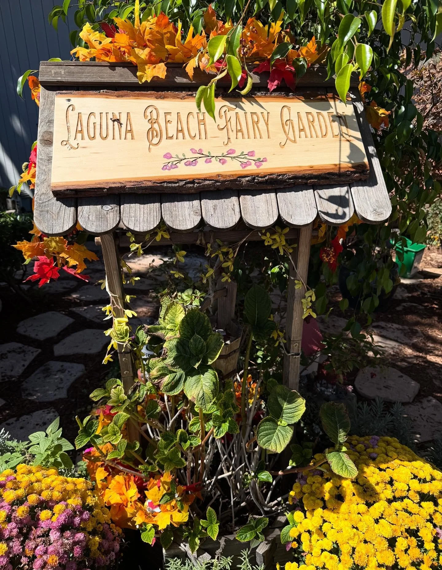 Another season is (almost) upon us!! And the fairy garden is blooming. 🍂🍁 #lagunabeachfairygarden