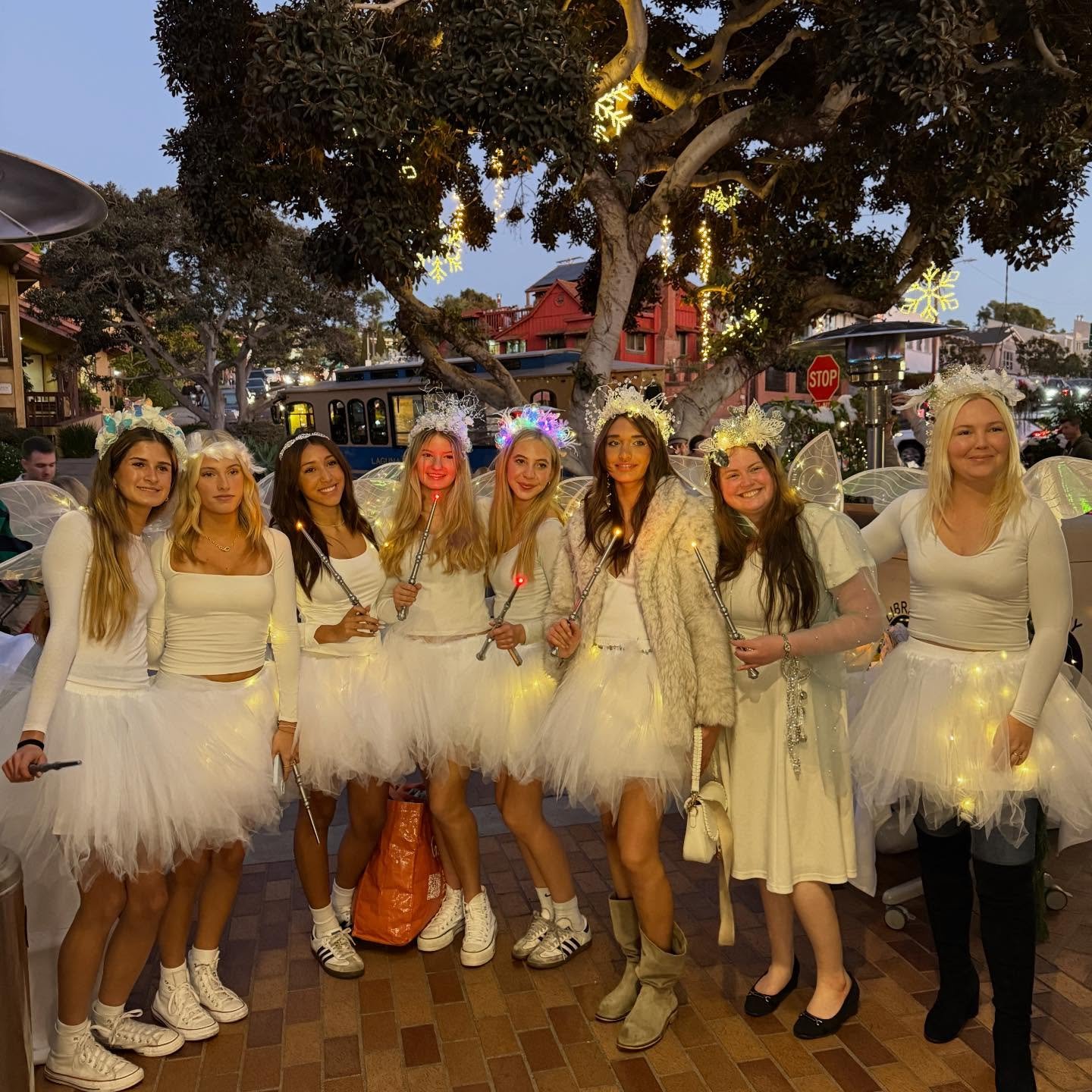 The fairy magic was in full swing last night!🧚&zwj;♀️ #lagunabeachfairygarden