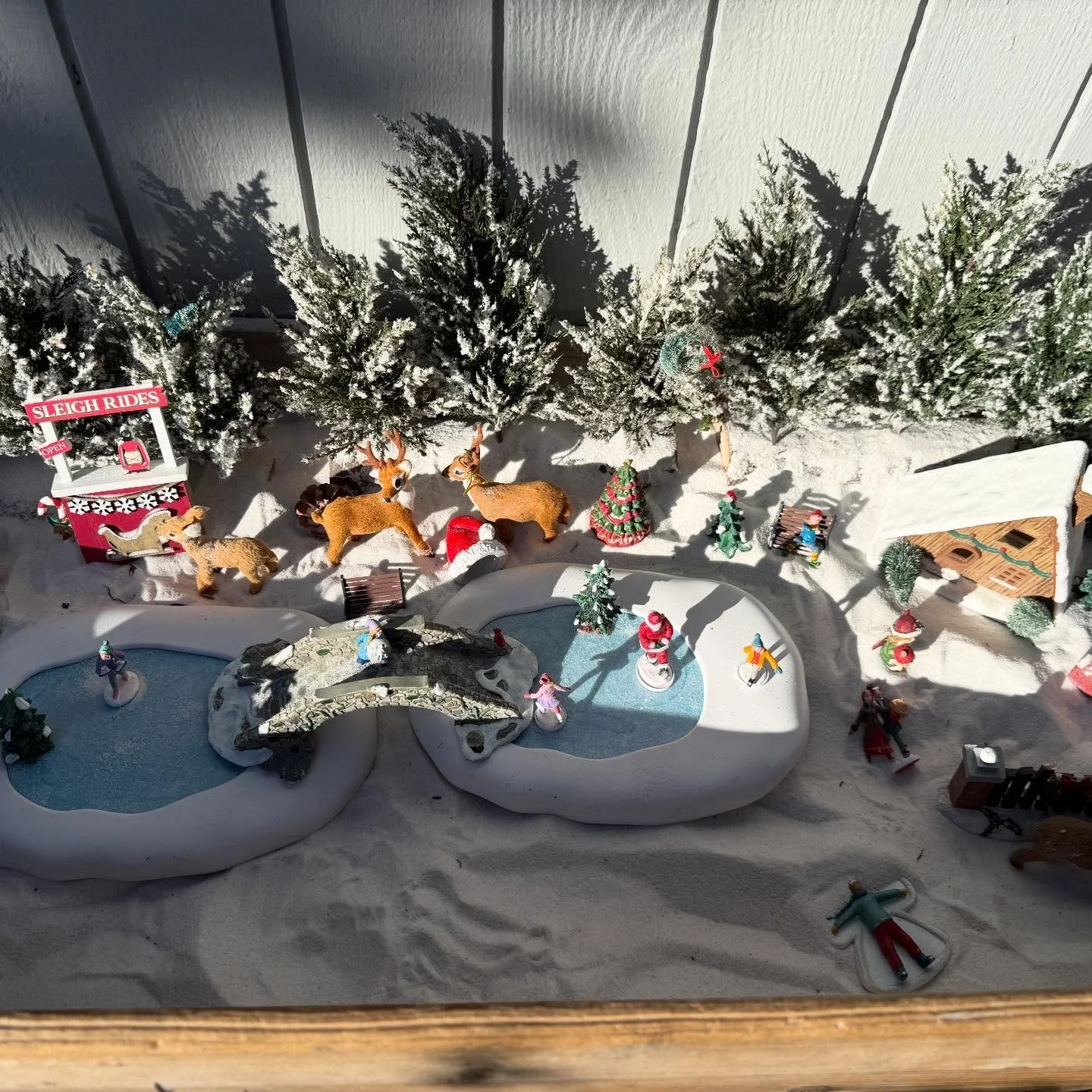 It&rsquo;s beginning to look a lot like Christmas! ❄️ #lagunabeachfairygarden