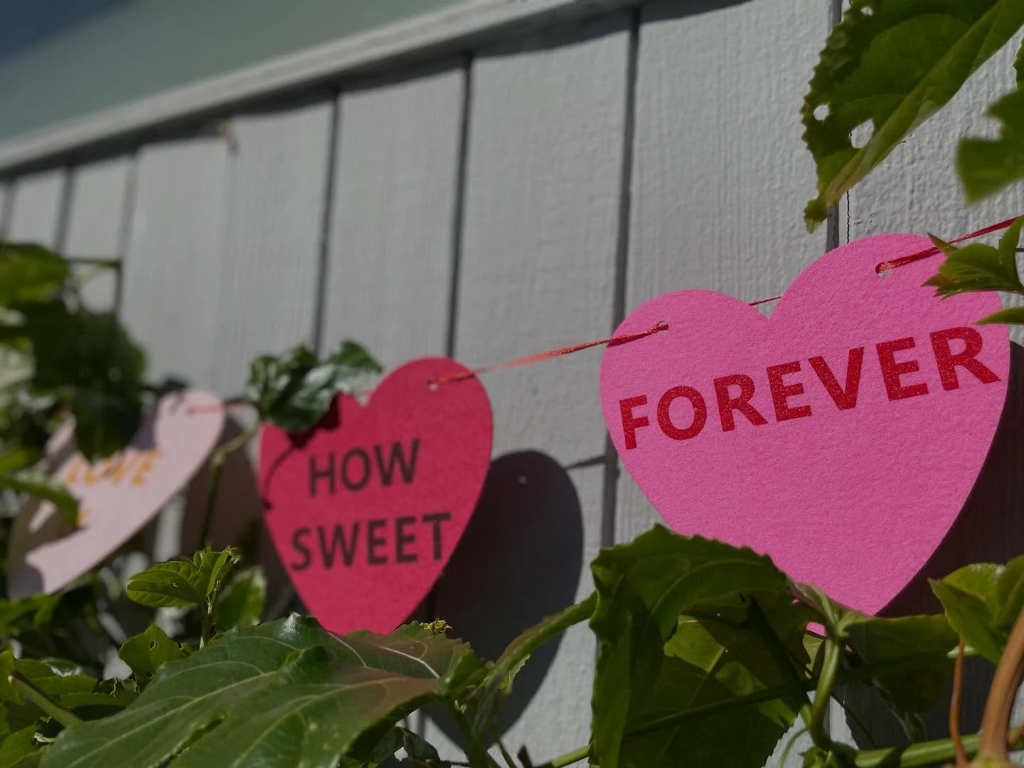 Abundance 🌼 Love 💗 Joy 🌺 Growth 🌱 All found in the fairy garden 🧚 #lagunabeachfairygarden
