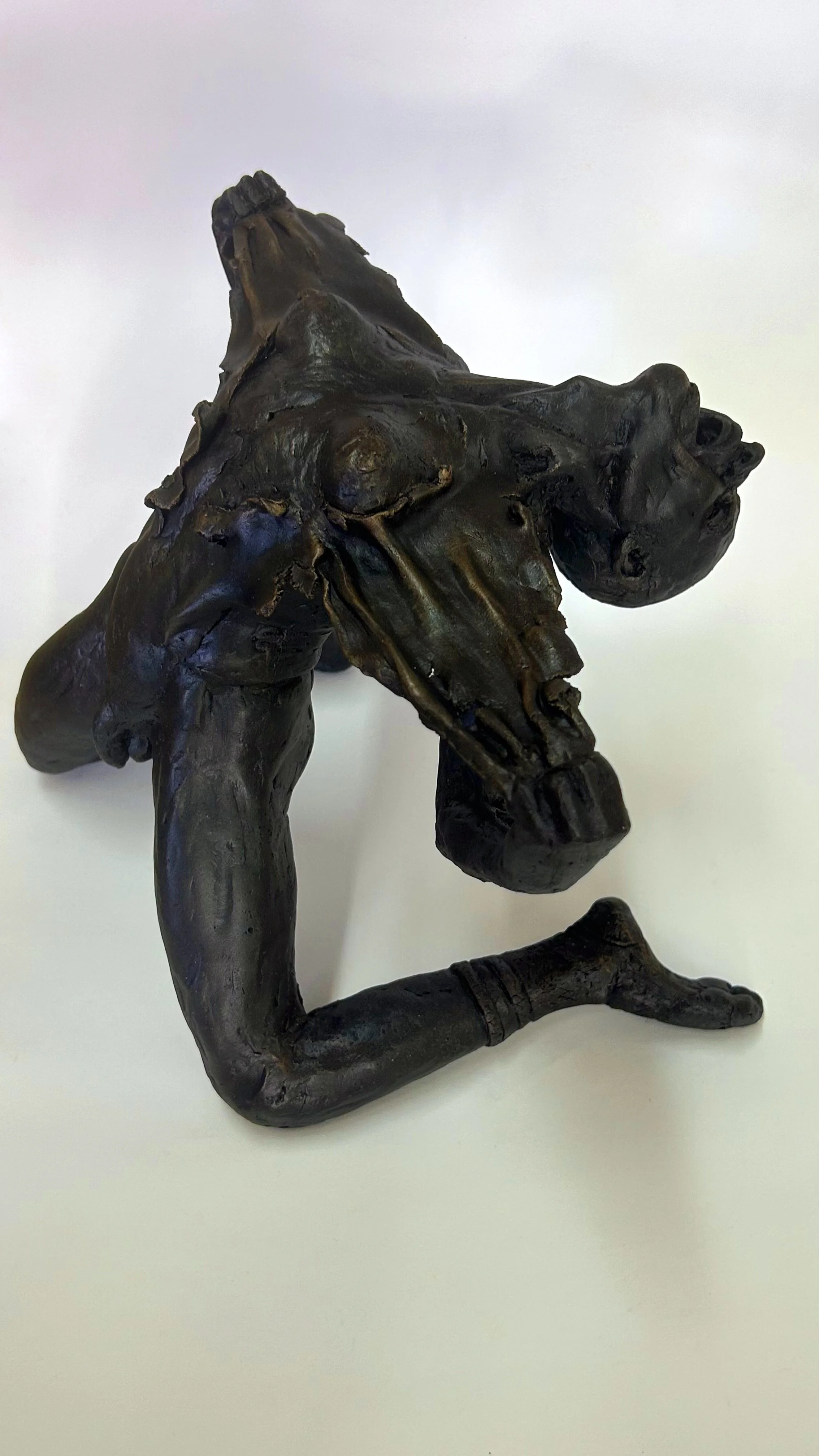 Anathema (2023)
MCQ ( Musée de la Civilisation de Québec), Collections permanant
Dimension : 10 x 8 x 12 pouce
Résine